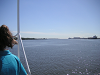 s_A_PICT0566_thumb.png